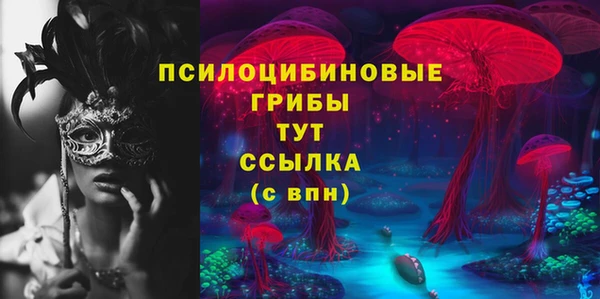 шишки Алексин