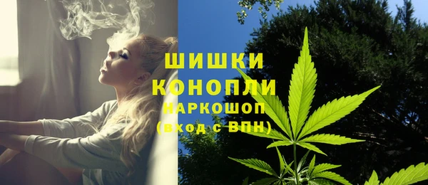 шишки Алексин
