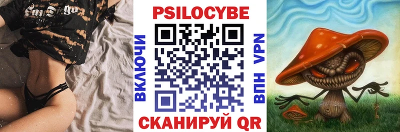 Галлюциногенные грибы MAGIC MUSHROOMS  Кувшиново 