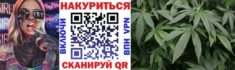 Каннабис сатива  даркнет сайт  Кувшиново 